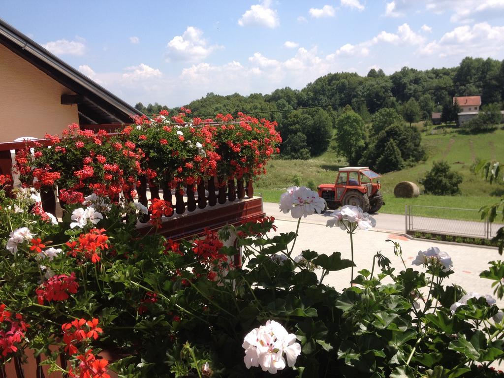 Guesthouse Ante Hodak Seliste Dreznicko Quarto foto