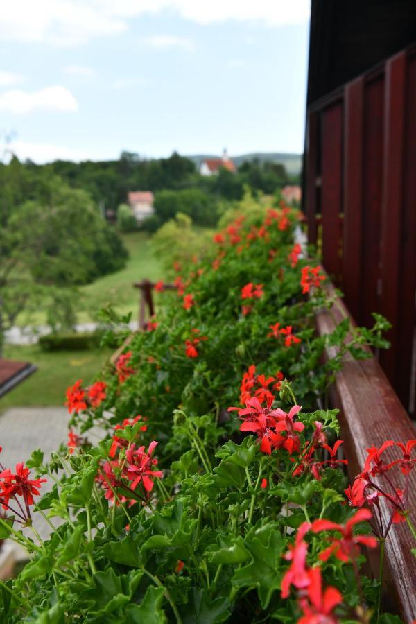 Guesthouse Ante Hodak Seliste Dreznicko Exterior foto