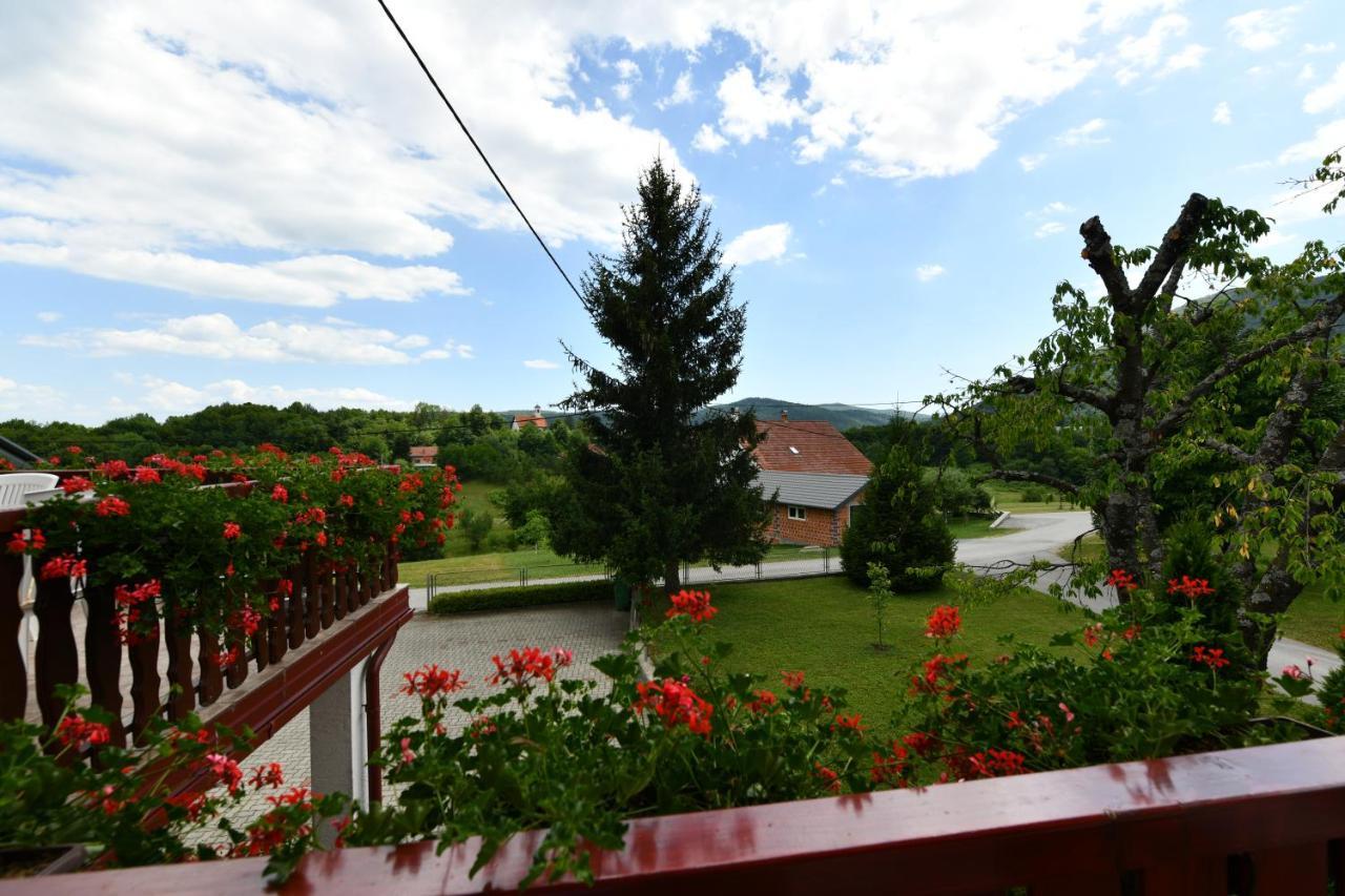 Guesthouse Ante Hodak Seliste Dreznicko Exterior foto