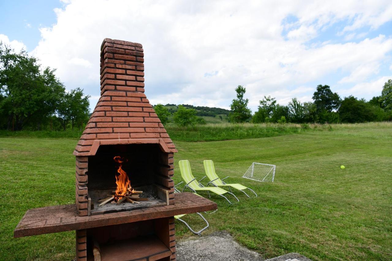 Guesthouse Ante Hodak Seliste Dreznicko Exterior foto